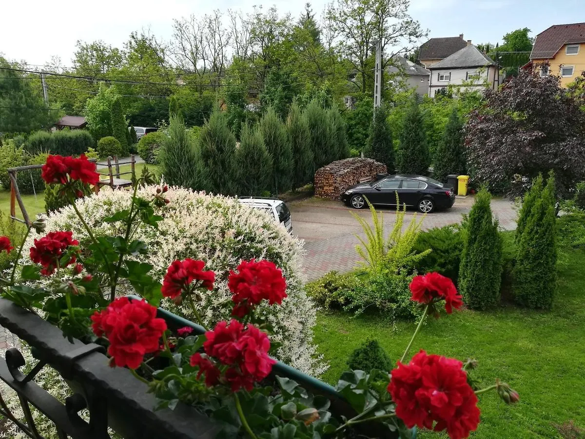 Voelgy Apartman Eger 0*,